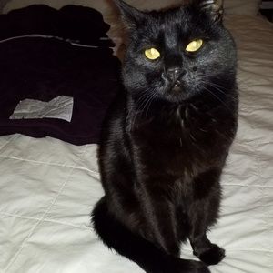 Meet your Posher, Stacia